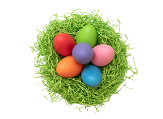 Easter pastel color egg in a nest, overhead isolated transparent background. PNG. design element

