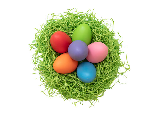 Easter pastel color egg in a nest, overhead isolated transparent background. PNG. design element
