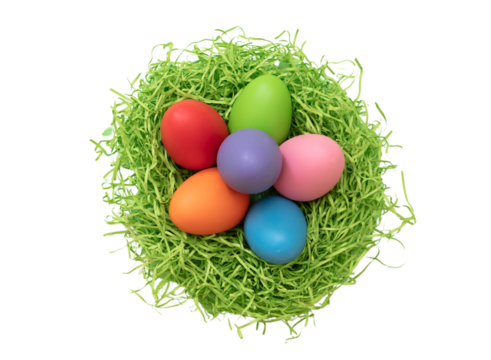 Easter pastel color egg in a nest, overhead isolated transparent background. PNG. design element
