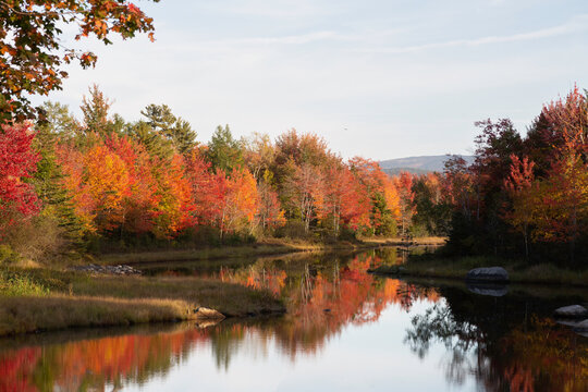 Autumn Color in New England