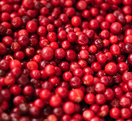 Close-up texture of cowberry berries. Natural background.