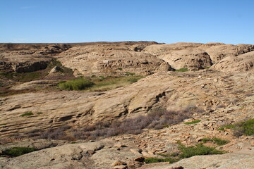 landscape in the desert
