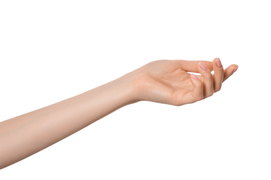 Gesture with hand open and ready to help or receive isolated. Empty hand palm up.