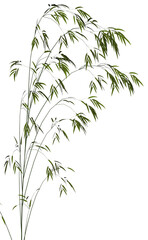 Naklejka premium Bamboo - 3D render