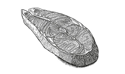 fish steak hand drawing sketch engraving illustration style