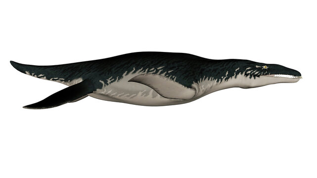 Liopleurodon prehistoric fish - 3D render