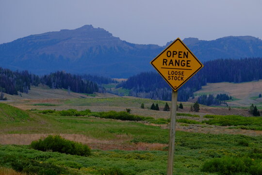 open range, loose stoke in the mountains