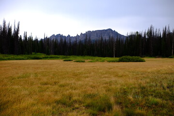 morning in the mountains