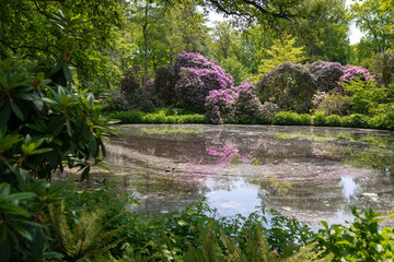 Rhododendron Park, Bremen 