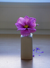 Blüten aus dem Garten und der Wiese: Blümchen für Mama, in einer kleinen Vase. Das ist Liebe. 