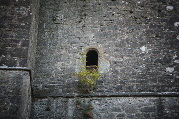 Fototapeta premium St Mary's Abbey in Duleek, Ireland.