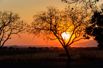 Plakat Beautiful african sunset over savannah in Tanzania