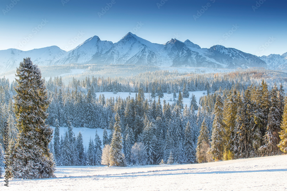 Poster Winter scenic landscape