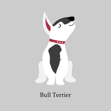 Vector illustration of a Bull Terrier dog. Cute dog icon in flat style. Domestic dog. Poster, card, banner for pet store, veterinary clinic. Stylish illustration with pets.