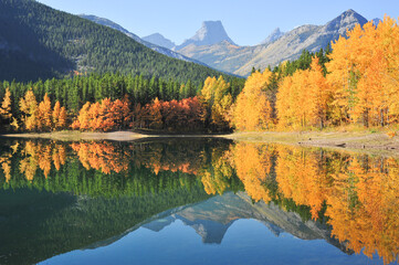  yellow autumn leaves on trees in the mountains reflection on crisp clear lake