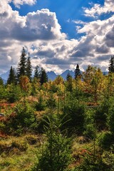 Beautiful summer mountain landscape. Trees and peaks peaks on the trail to Rusinowa Polana in the Polish Tatra. © shadowmoon30