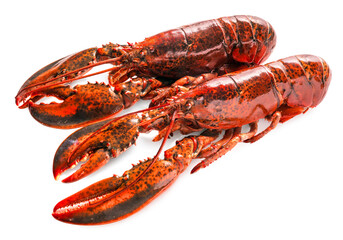 Cooked Lobster isolated on white, Steam Canadian Lobster on white background with work path.