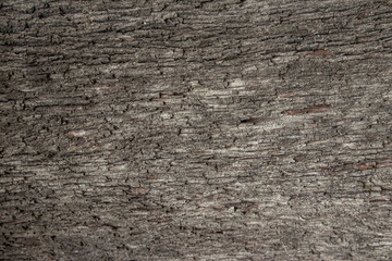 old wood texture