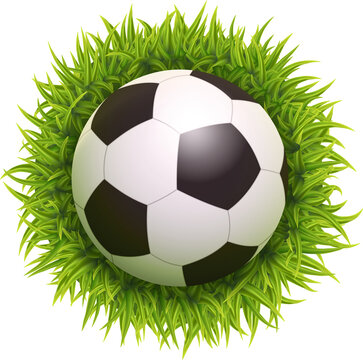 Soccer Ball With Green Grass. Top View