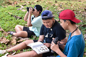 Three asian boys're reading birds details and going to use binoculars to watch birds on the trees during summer camp, idea for learning creatures and wildlife animals outside the classroom. - obrazy, fototapety, plakaty