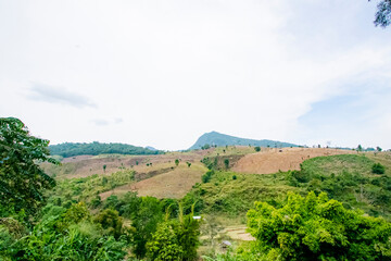 View of the nature trail on the mountain in Thailand