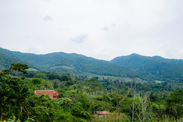 Obraz premium View of the nature trail on the mountain in Thailand