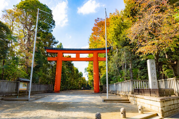 Naklejka premium 井草八幡宮