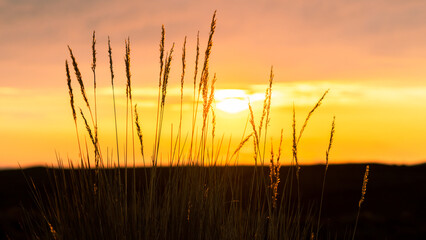 Landscape with magical and incredible sunset