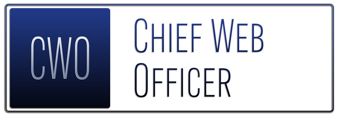 English professional title in management - Chief Web Officer