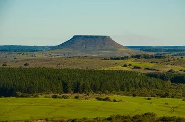 Foto op Canvas Paisaje del norte uruguayo, pradera, árboles y cerros con cima plana © Martin