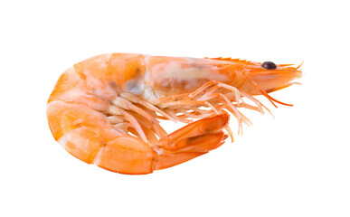 Cooked shrimps isolated on transparent png