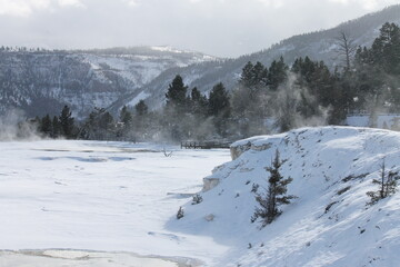 Fototapeta premium winter in the mountains