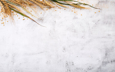 Fototapeta premium Wheat ears and wheat grains set up on white stone background.