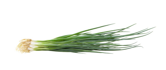 Green onion isolated on transparent png