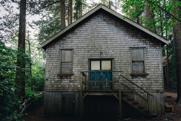 Abandoned wooden house in the forest