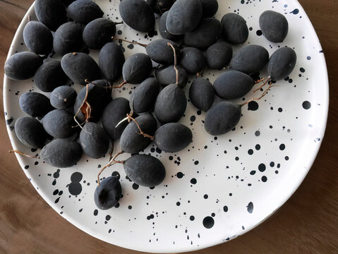 Top view of Black Velvet tamarind plum (Dialium cochinchinense) on the White plate with Black dots painted, Thai folk name Lookyee, sour and sweet taste when ripe with black peels.