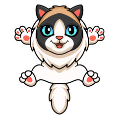 Cute rag doll cat cartoon