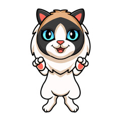 Cute rag doll cat cartoon