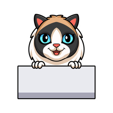 Cute rag doll cat cartoon holding blank sign