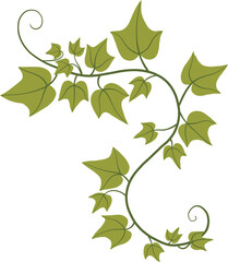 Simplicity ivy freehand drawing