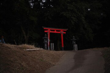 鳥居　門　神社　寺　宗教　日本　神道　日没　暗闇　