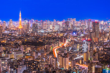 Fototapeta premium 東京 恵比寿ガーデンプレイスからの夜景