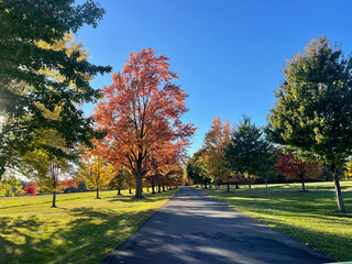 autumn in the park