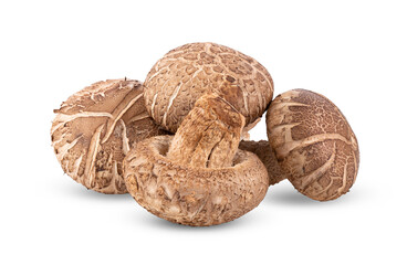 Shitake Mushroom on transparent png