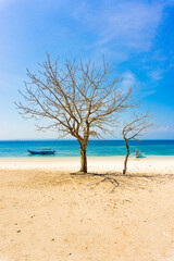 Pink Beach Lombok Indonesia