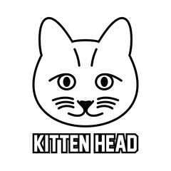 Kitten head on white background