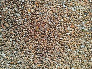background of buckwheat