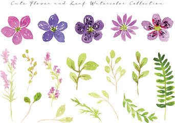 set of colorful spring wild flower and leaf watercolor