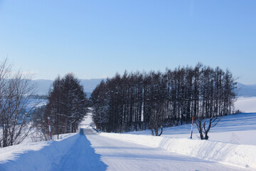 除雪された冬の道路
