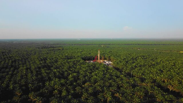 Cinematic 4K Drone Footage of Onshore Drilling Rig equipment structure for oil exploration and exploitation in the middle of jungle surrounded by palm oil trees during sunset and high oil price.